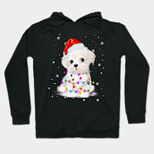 Dog Christmas Hoodie